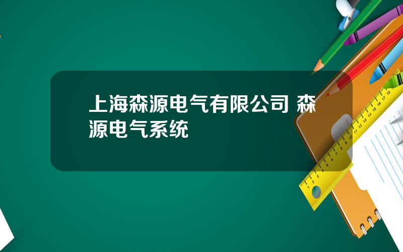 上海森源电气有限公司 森源电气系统